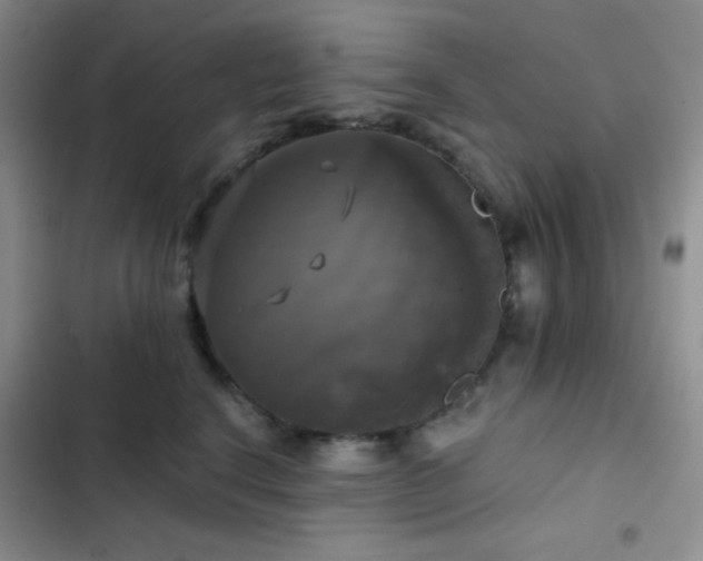 X0000103220664200808281409