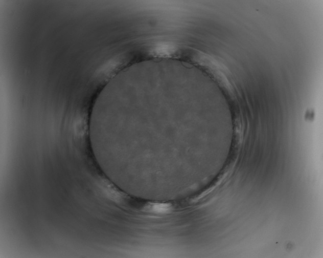 X0000103220665200808281409
