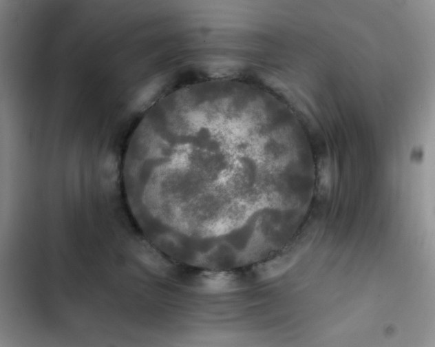 X0000103220667200808281409