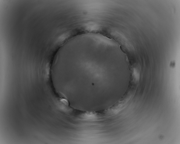 X0000103220668200808281409
