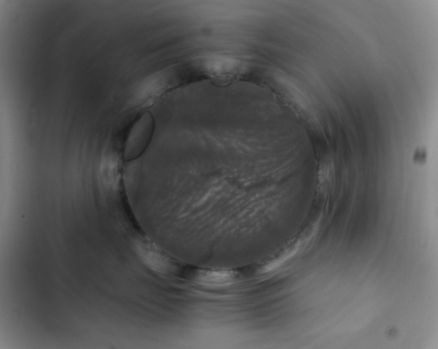 X0000103220671200808281409