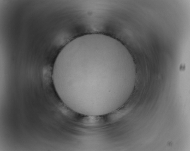 X0000103220672200808281409