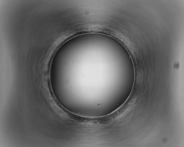 X0000103220673200808281408