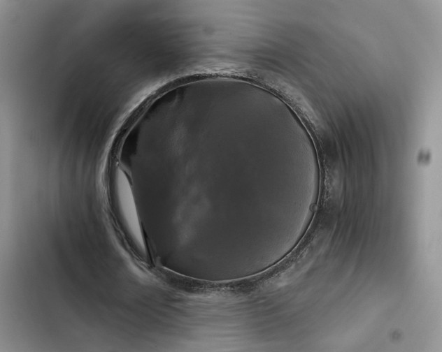 X0000103220674200808281408