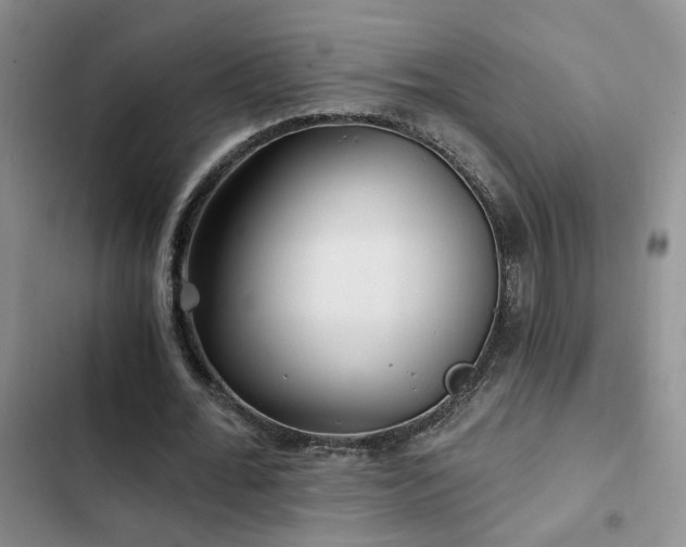 X0000103220676200808281408