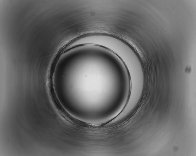 X0000103220677200808281408