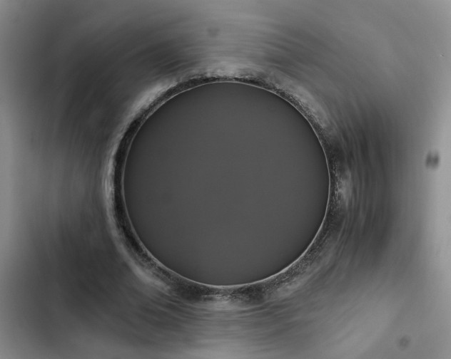X0000103220678200808281408
