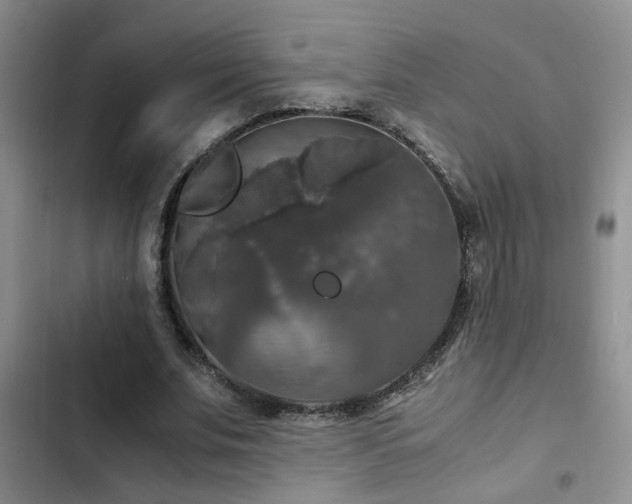 X0000103220679200808281408