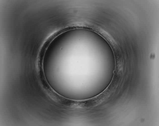 X0000103220680200808281408