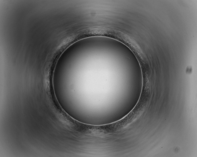 X0000103220681200808281408