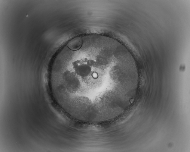 X0000103220683200808281408