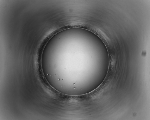 X0000103220684200808281408