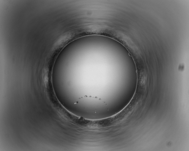 X0000103220685200808281408
