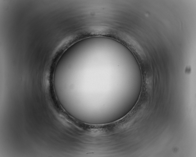 X0000103220686200808281408