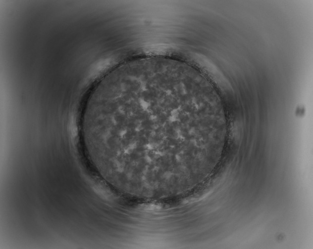 X0000103220687200808281408
