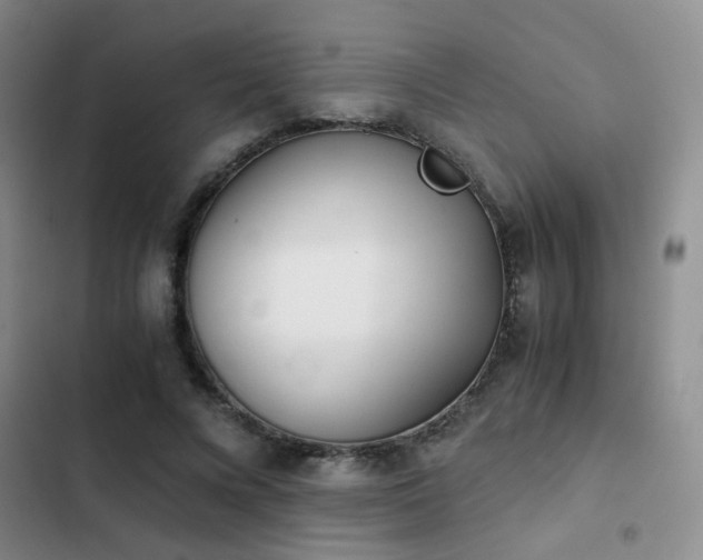 X0000103220688200808281408
