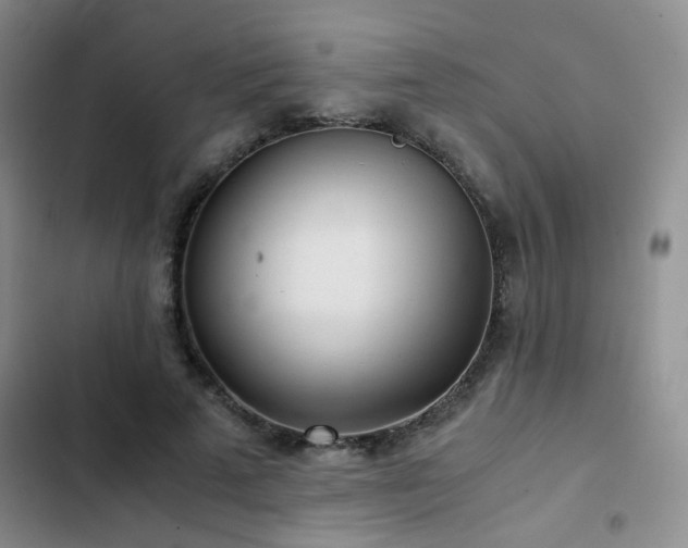 X0000103220689200808281408