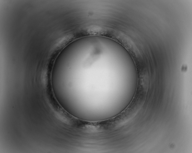 X0000103220690200808281408