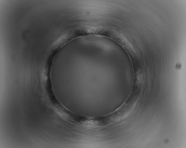 X0000103220691200808281408