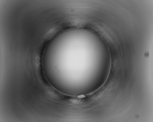 X0000103220693200808281408