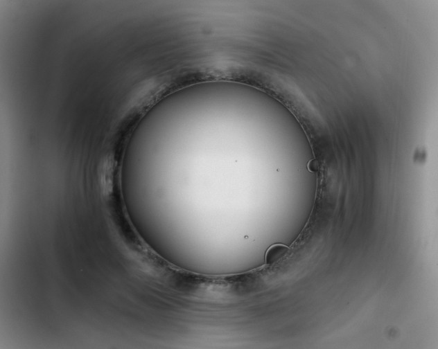 X0000103220694200808281408