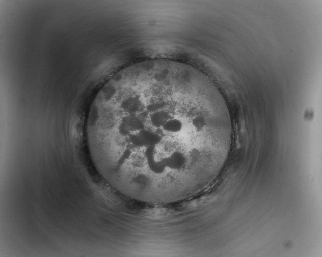 X0000103220695200808281408