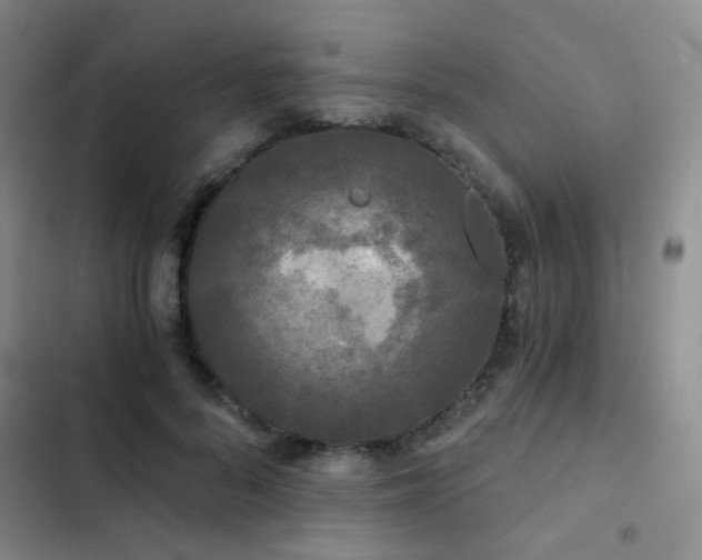 X0000103220696200808281408