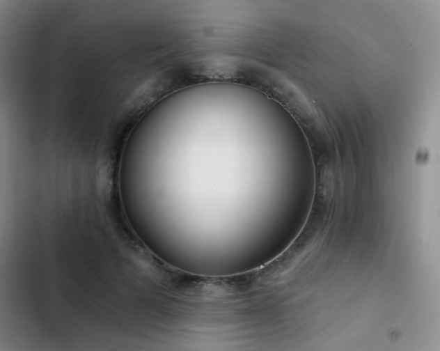 X0000103220697200808281408