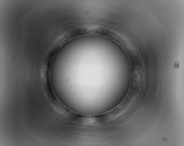 X0000103220698200808281408
