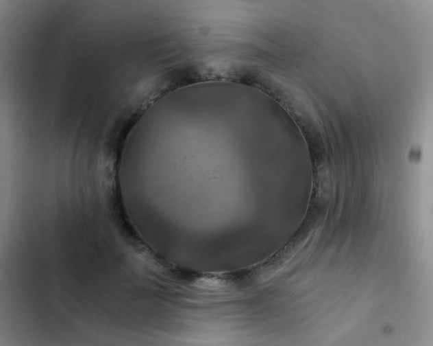 X0000103220699200808281408
