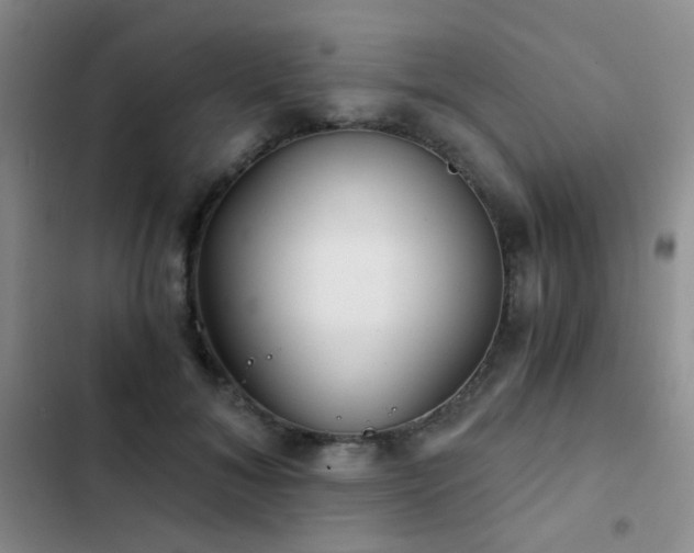 X0000103220700200808281408