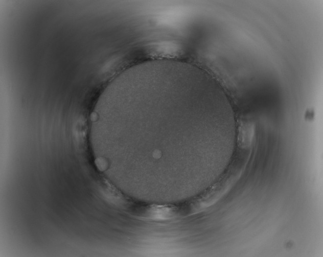 X0000103220701200808281408