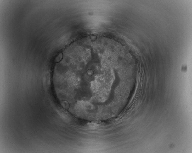 X0000103220703200808281408