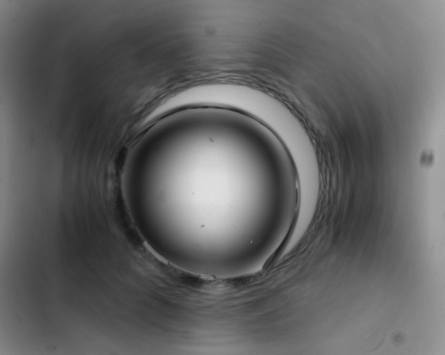X0000103220704200808281408