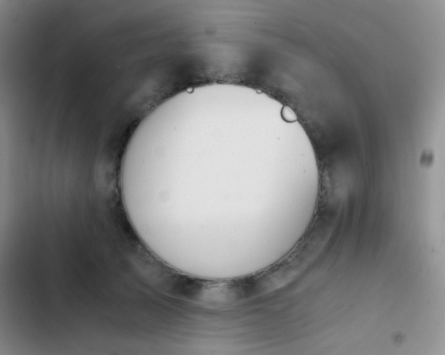 X0000103220705200808281408