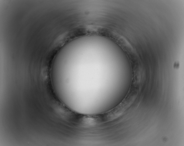 X0000103220706200808281408