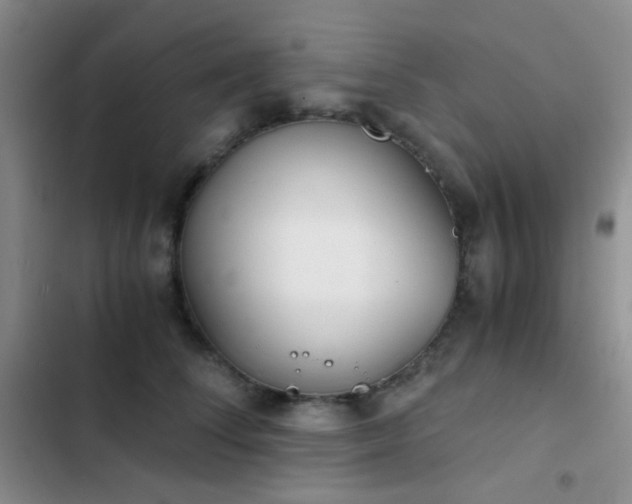 X0000103220708200808281408