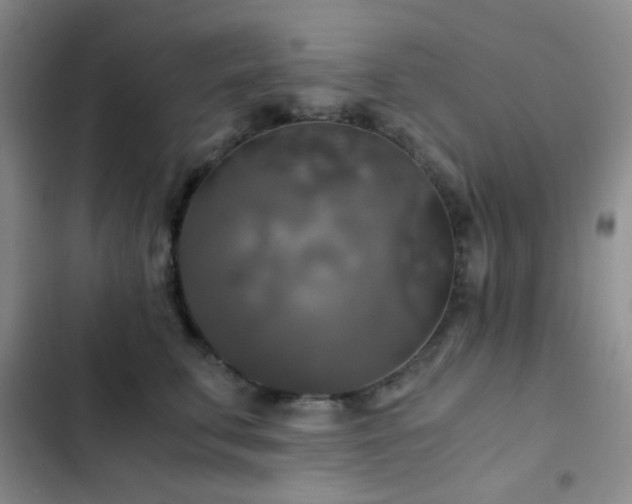 X0000103220711200808281408
