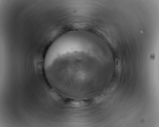 X0000103220712200808281408