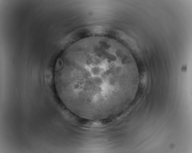 X0000103220715200808281408