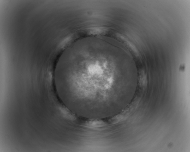 X0000103220716200808281408
