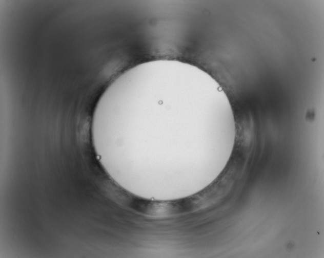 X0000103220717200808281408