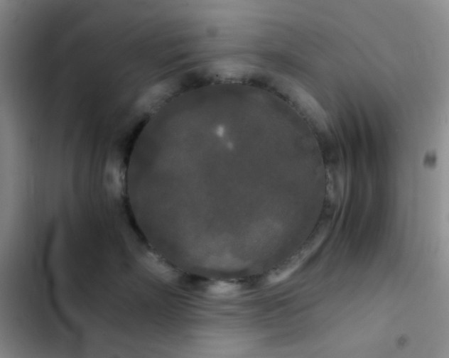 X0000103220718200808281408