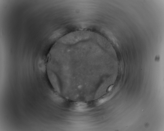 X0000103220719200808281408