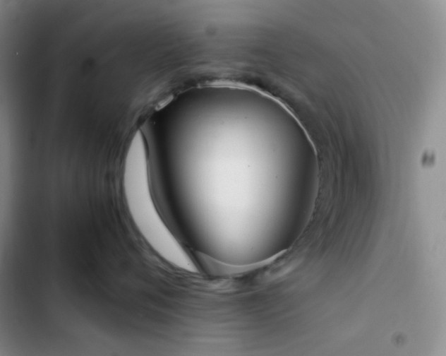 X0000103220720200808281408