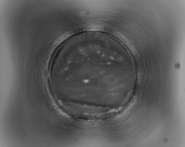X0000103220721200808281407