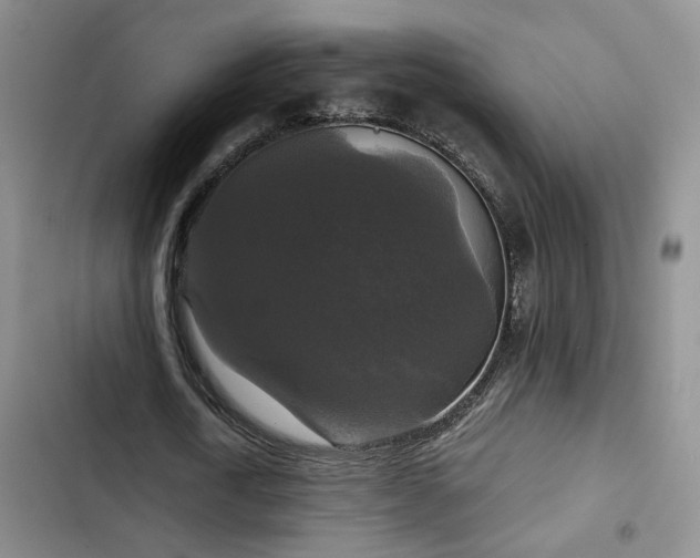 X0000103220722200808281407