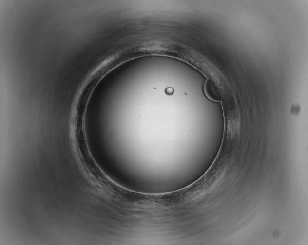 X0000103220724200808281407