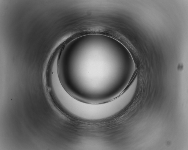 X0000103220726200808281407