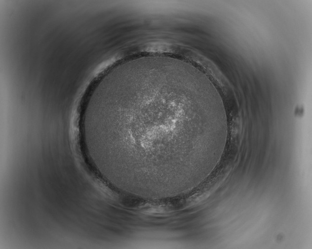 X0000103220727200808281407